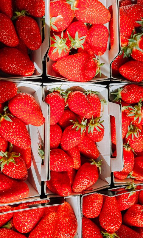 Barquettes de fraises de saison à mettre dans les desserts Tableaux Paris